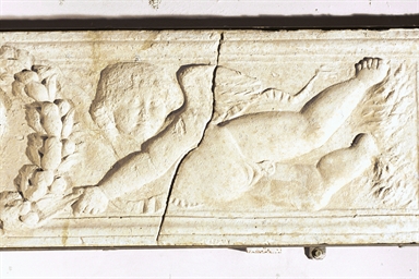 Angeli reggenti lo stemma della famiglia Varano